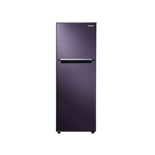 Picture of Refrigerator RT22FARBDUT