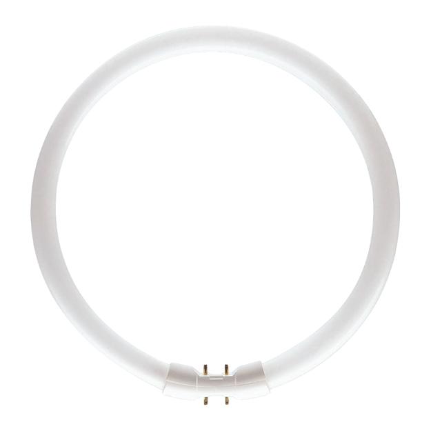 Picture of Circular Lamps