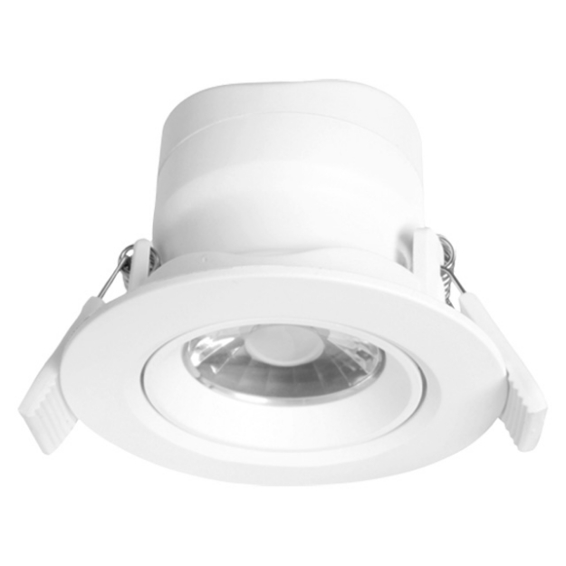 Pro Series LED Tilt able Downlight