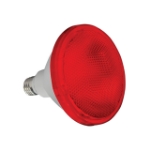 Omni LED Par Weatherproof Par Lamp 