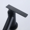 Picture of Axis Danube Basin Tap Matte Black , AXS01FD250B