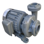 Picture of EVERGUSH CLOSE-COUPLED VORTEX CENTRIFUGAL PUMP CP-21.5