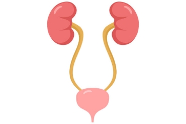 Picture for category Urinary Track Health
